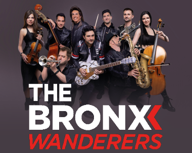 More Info for  The Bronx Wanderers