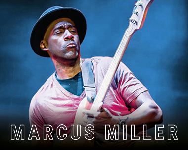 More Info for Marcus Miller