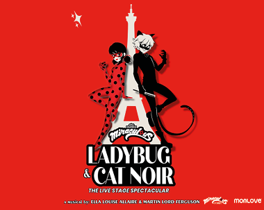 More Info for Miraculous Ladybug & Cat Noir 