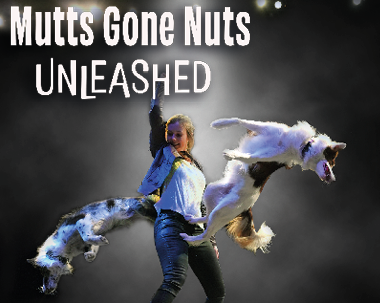 More Info for Mutts Gone Nuts